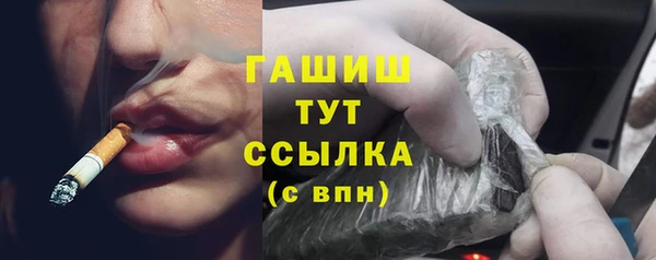 мдпв Осташков