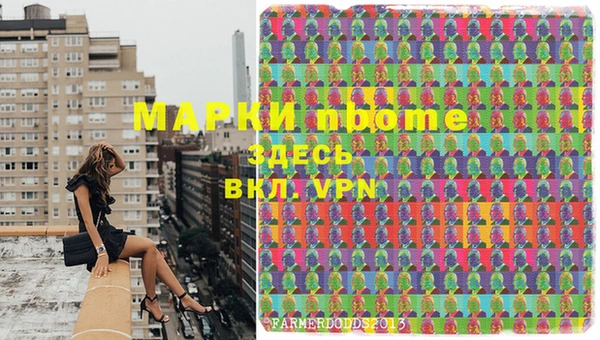 мдпв Осташков