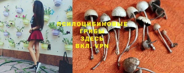 ешки Осинники