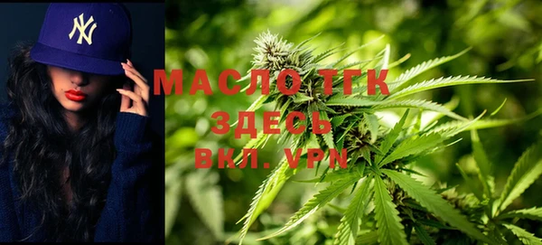 мдпв Осташков